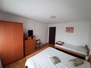 Хостелы Sport Hostel Cluj Клуж-Напока Трехместный номер-12